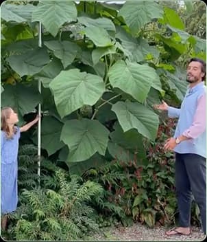 instagram post image for goyd