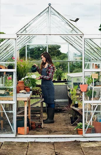 A greenhouse with plants being tended to