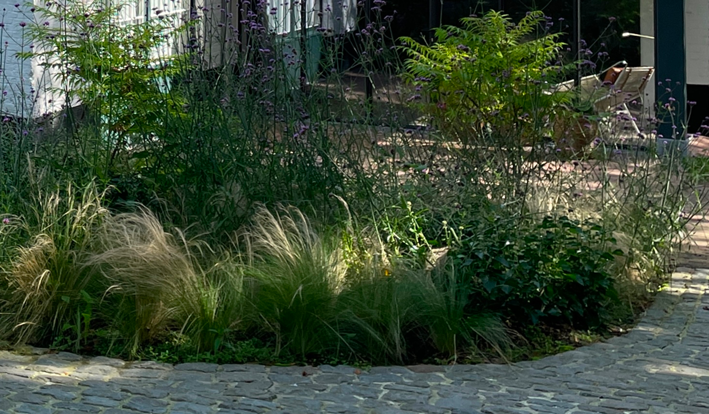 9 Weeks after joining The Garden of Your Dreams